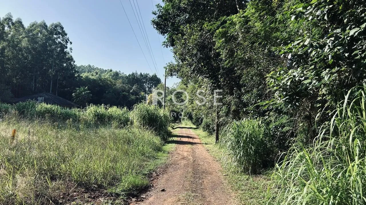 Terreno, foto 1