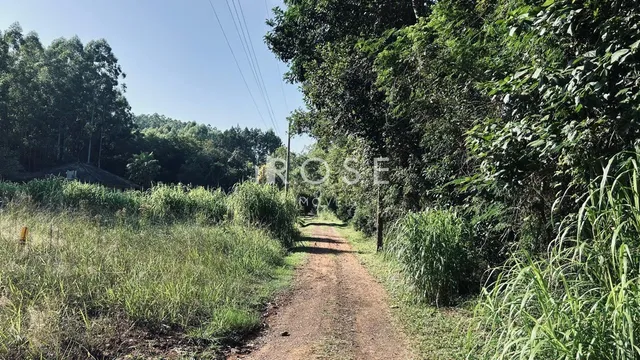 Terreno