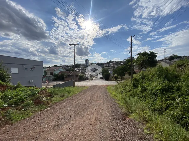 Vista de uma estrada de terra cercada por vegetação em uma área residencial.