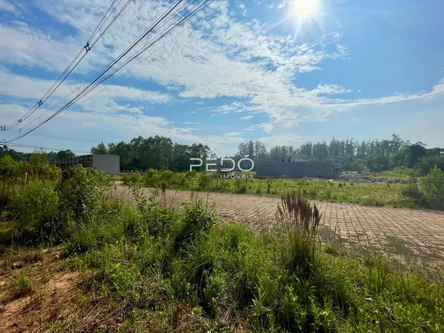 Terreno, foto 2