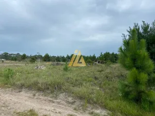 Terreno, foto 3