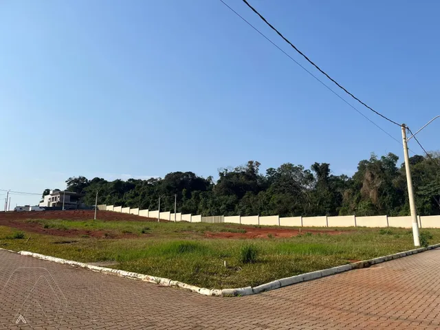 Terreno, foto 5
