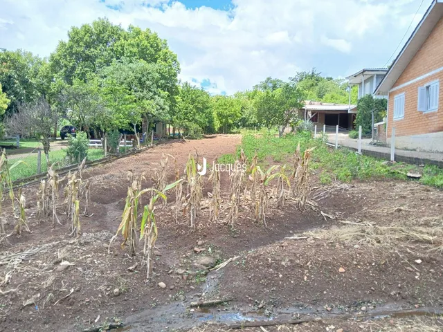 Terreno, foto 4