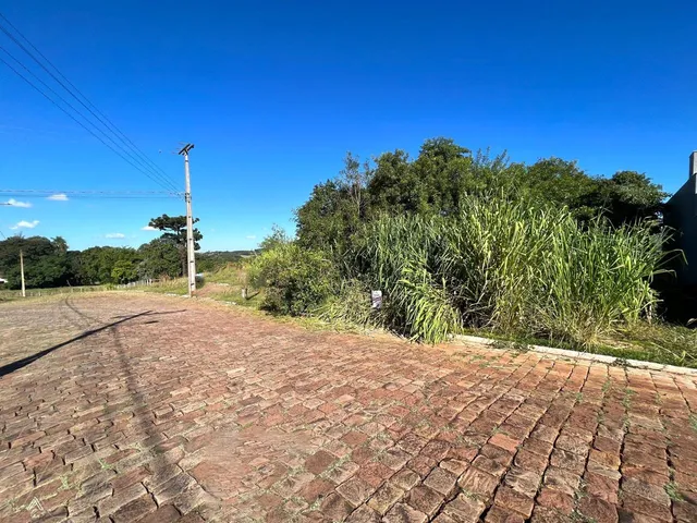 Terreno, foto 2