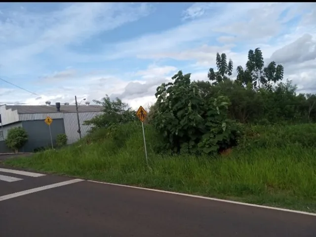 Terreno, foto 3
