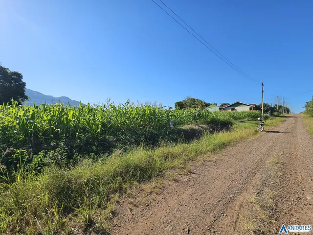 Terreno, foto 5