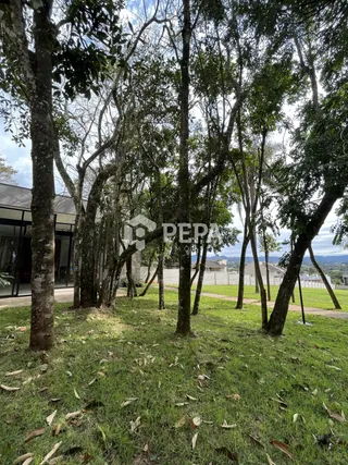 Terreno, foto 11