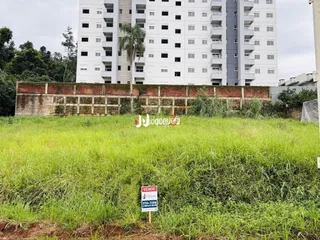 Paisagem de campo com vegetação verde e um muro de contenção.