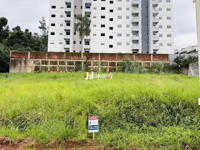 Paisagem de campo com vegetação verde e um muro de contenção.