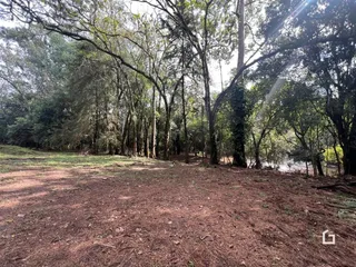 Paisagem de mata e terreno aberto na região de Lajeado.