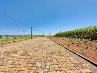 Vista de uma estrada pavimentada que se estende por um campo de cultivo.
