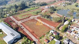 Terreno, foto 4