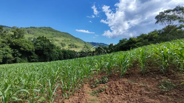 Área rural, foto 4