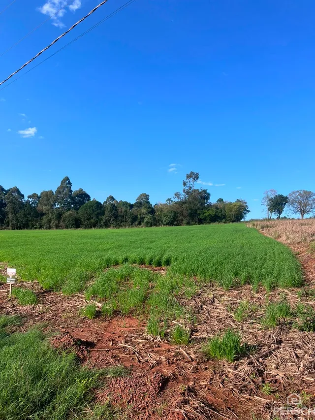 Área rural, foto 4