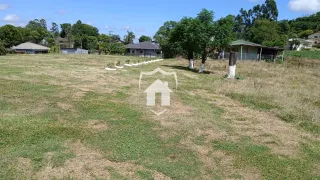 Área rural com 4 dormitórios, foto 14