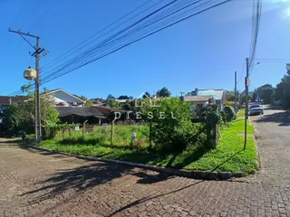 Terreno, foto 2