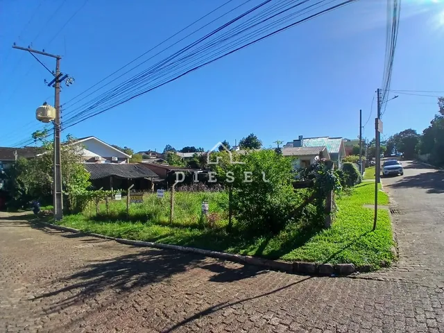 Terreno, foto 2