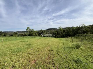 Vista de um campo verde com vegetação ao fundo.