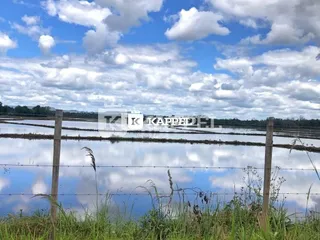 Paisagem de campo com céu azul e nuvens.