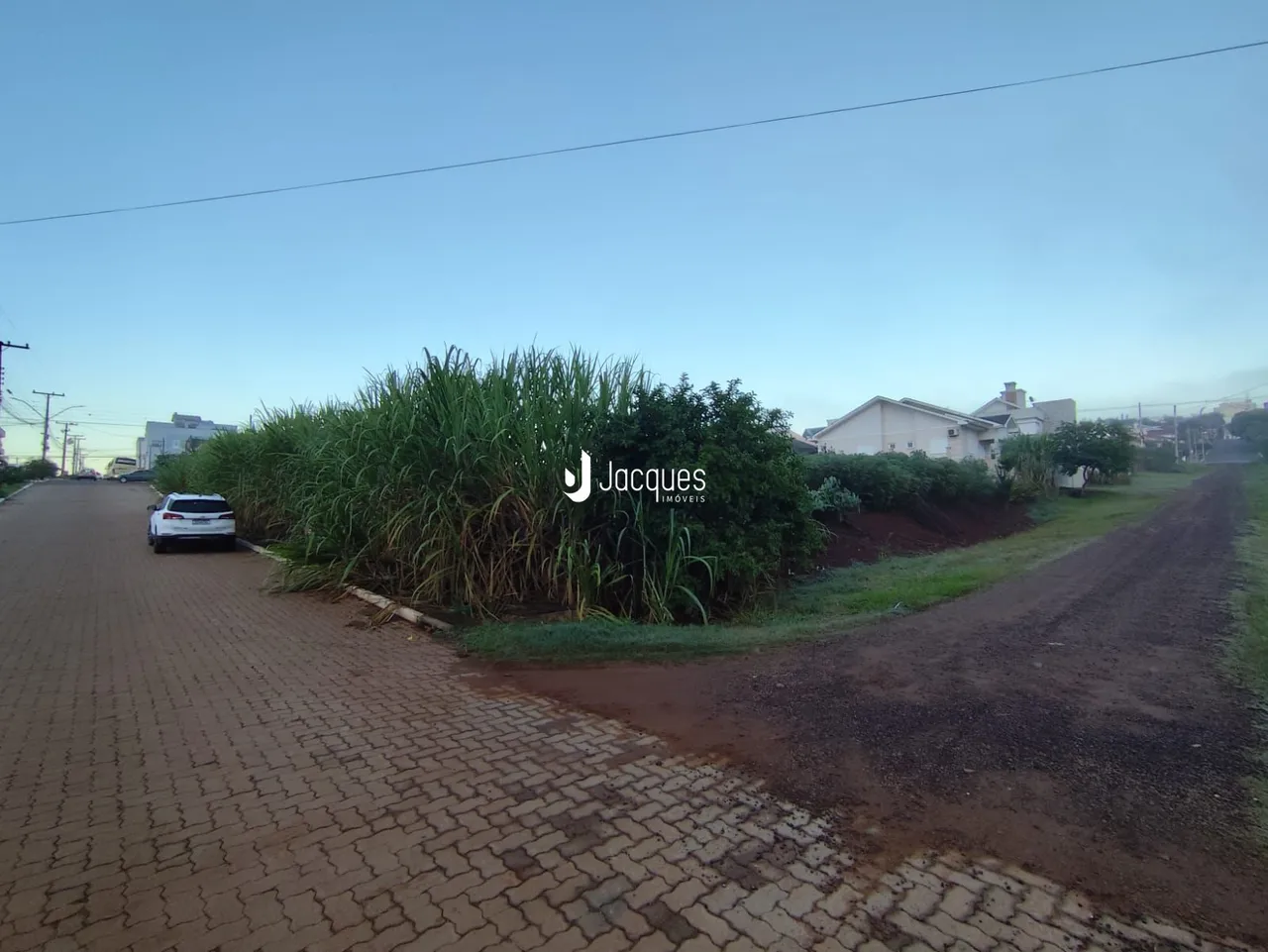 Vista da rua com vegetação ao lado de uma estrada de paralelepípedos.