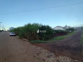 Vista da rua com vegetação ao lado de uma estrada de paralelepípedos.