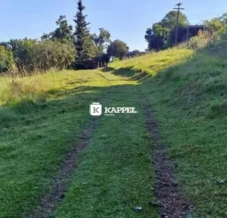 Uma paisagem de campo gramado com um caminho de terra em uma colina.