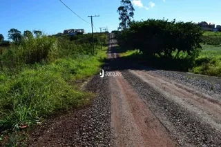 Uma estrada de terra atravessa uma área de vegetação densa.