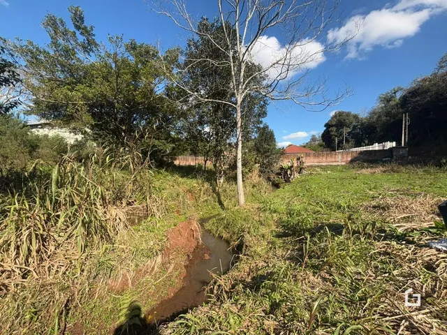 Paisagem de vegetação e um curso d'água em uma área rural.