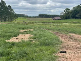 Vista de um campo aberto com vegetação e uma construção ao fundo.