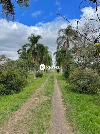 Área rural com 3 dormitórios, foto 6