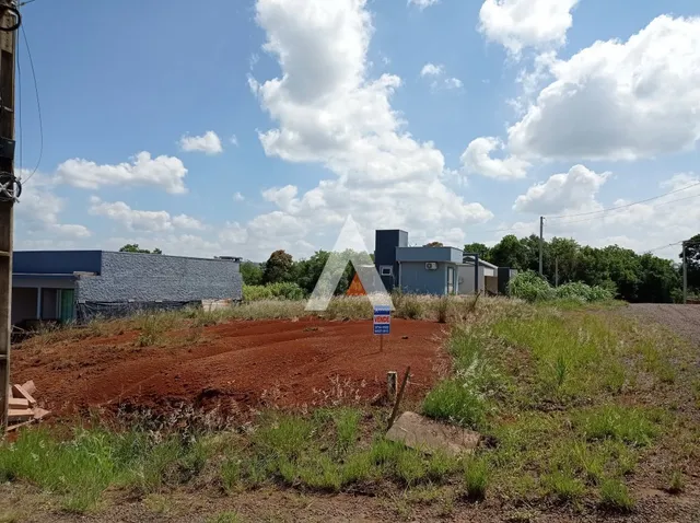 Terreno com terra vermelha e vegetação rasteira sob um céu azul.