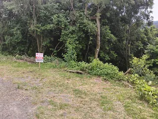 Terreno, foto 3