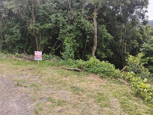 Terreno, foto 3
