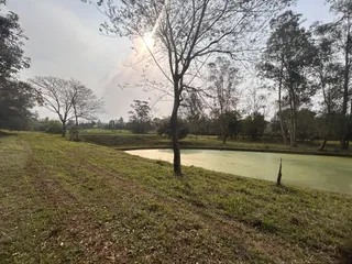 Vista de um campo gramado com um lago e árvores ao fundo.