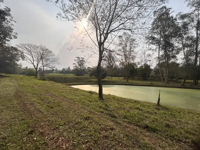 Vista de um campo gramado com um lago e árvores ao fundo.