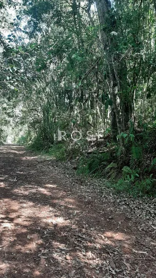 Área rural, foto 9