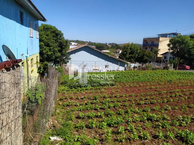 Terreno, foto 3
