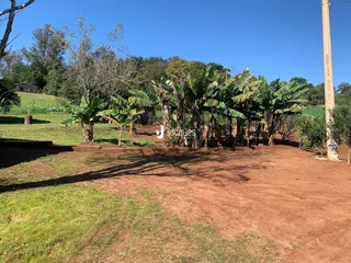Paisagem de terra e vegetação com bananeiras em um terreno aberto.