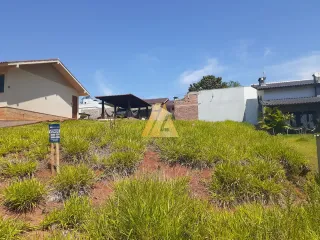 Terreno, foto 3