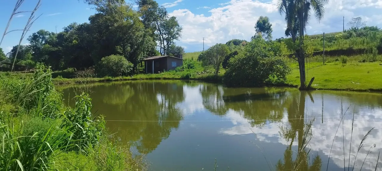 Área rural com 5 dormitórios, foto 1