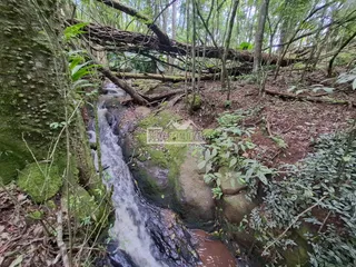 Área rural, foto 9