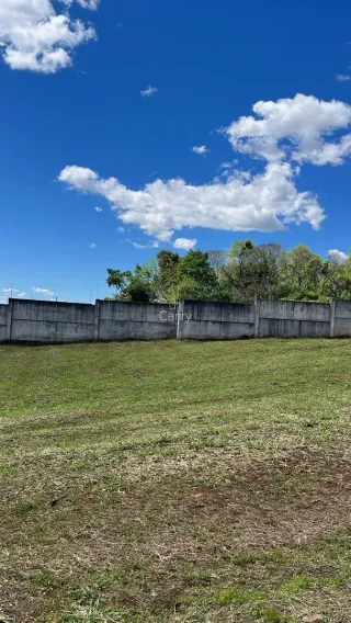 Terreno, foto 3