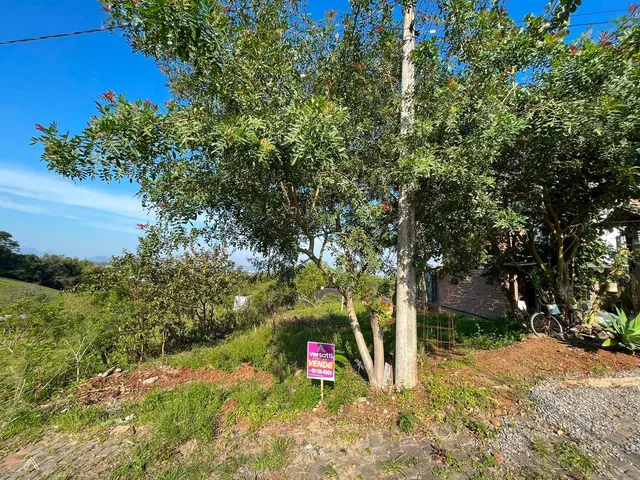Terreno, foto 2