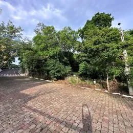 Terreno, foto 2