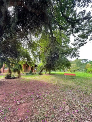 Área rural com 3 dormitórios, foto 19