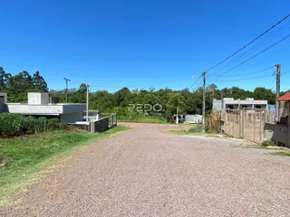Vista da entrada de uma propriedade com estrada de terra e vegetação ao fundo.