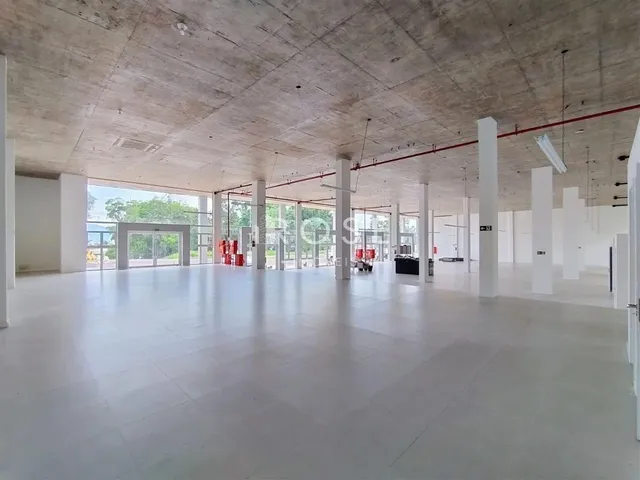 Apartamento, foto 5