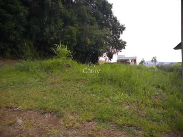 Terreno, foto 3
