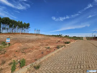 Terreno, foto 6