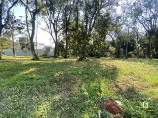 Terreno, foto 2